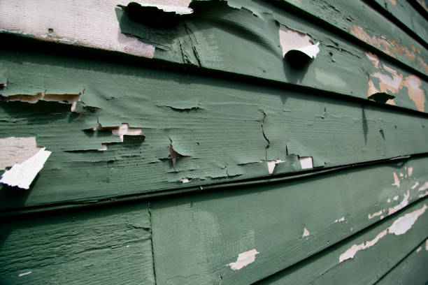 Best Brick Veneer Siding  in Doraville, GA