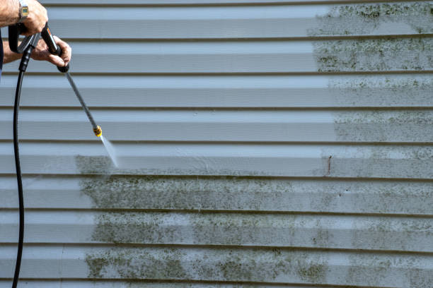 Best Siding Painting and Refinishing  in Doraville, GA