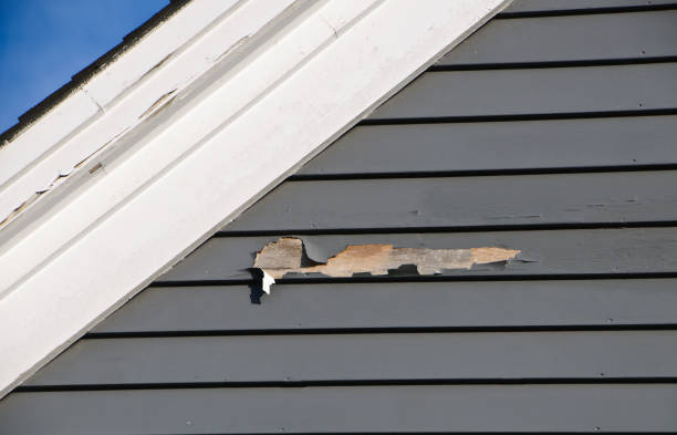 Best Custom Trim and Detailing for Siding  in Doraville, GA